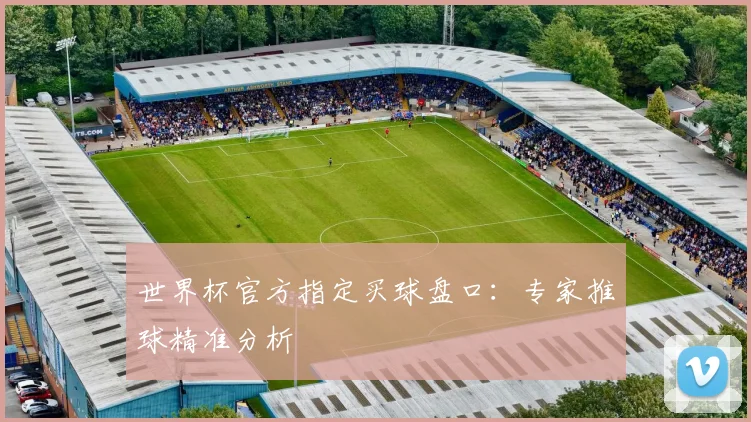 世界杯官方指定买球盘口：专家推球精准分析
